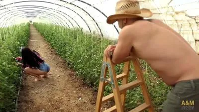 الجنس الجيد في المزرعة